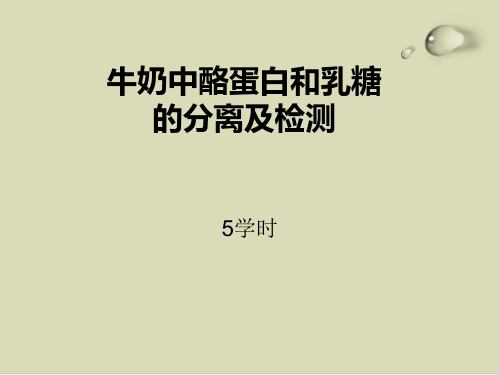 牛奶中酪蛋白和乳糖分离及检测方法讲义PPT课件(12张)