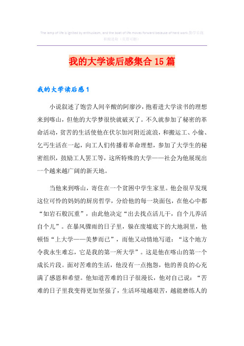 我的大学读后感集合15篇