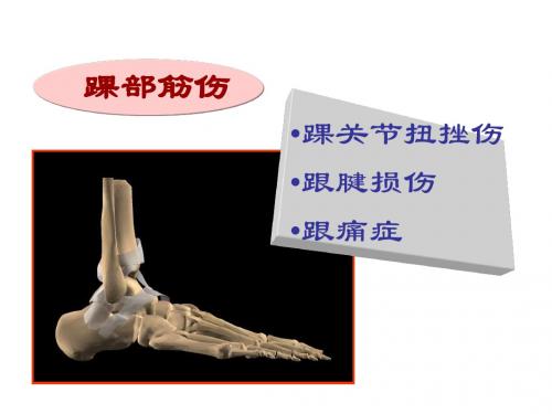 骨科学踝部筋伤
