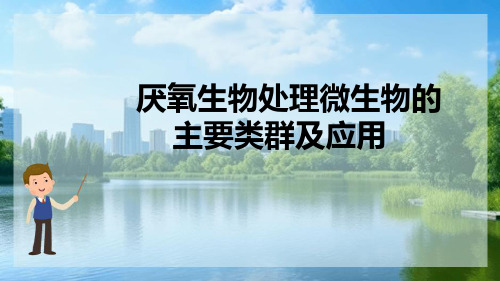 微生物在污水处理中的应用—废水厌氧生物处理