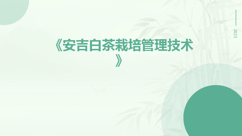 安吉白茶栽培管理技术