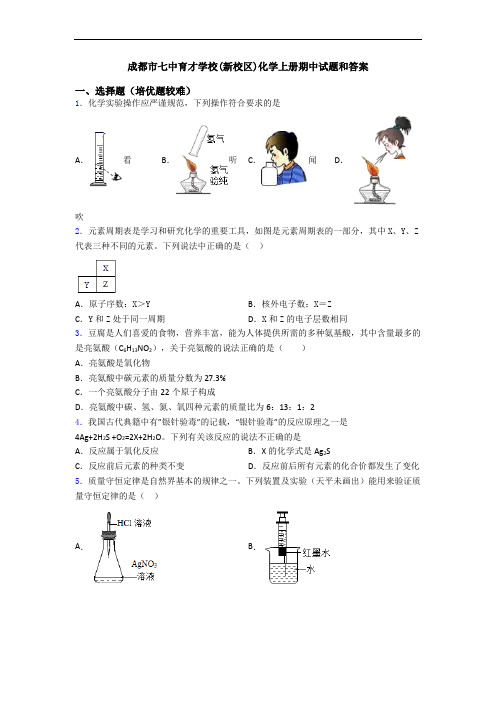 成都市七中育才学校(新校区)初三化学上册期中试题和答案