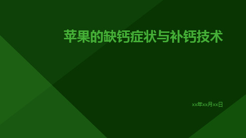 苹果的缺钙症状与补钙技术