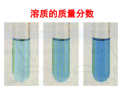 2020-2021学年九年级上学期化学人教版全一册 第2单元  课题3    溶质的质量