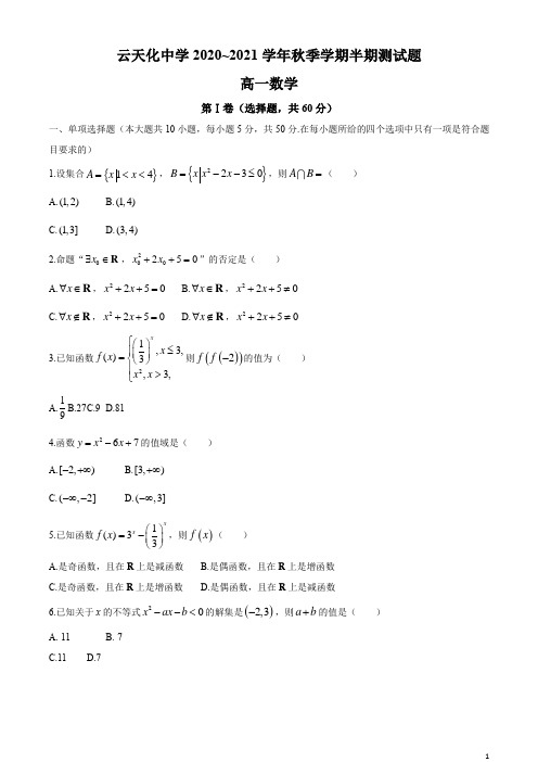 云南省云天化中学2020-2021学年高一上学期期中考试数学试卷 