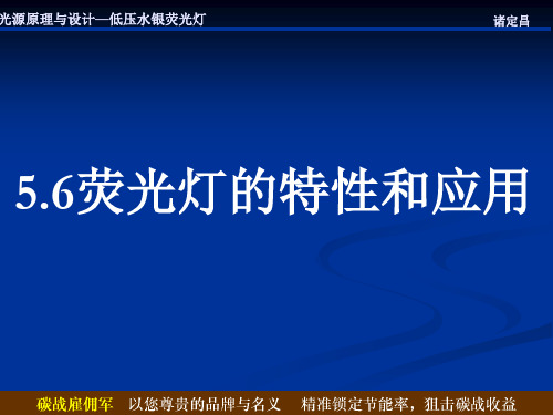 荧光灯的特性和应用PPT课件