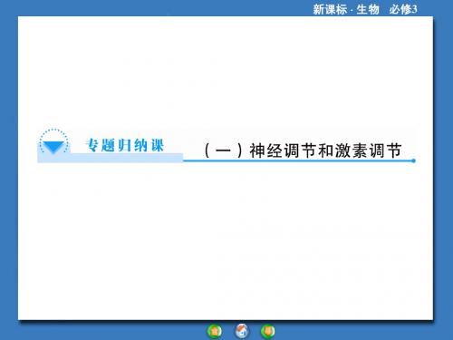 高中生物(人教版)必修3课件：专题归纳1神经调节和激素调节