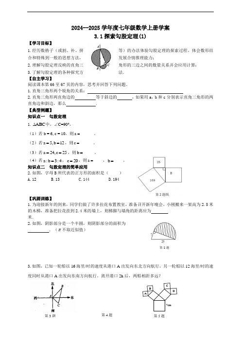 鲁教版五四学制：七年级第一学期上册数学3.1探索勾股定理(1)学案和答案(2024年)新版教材