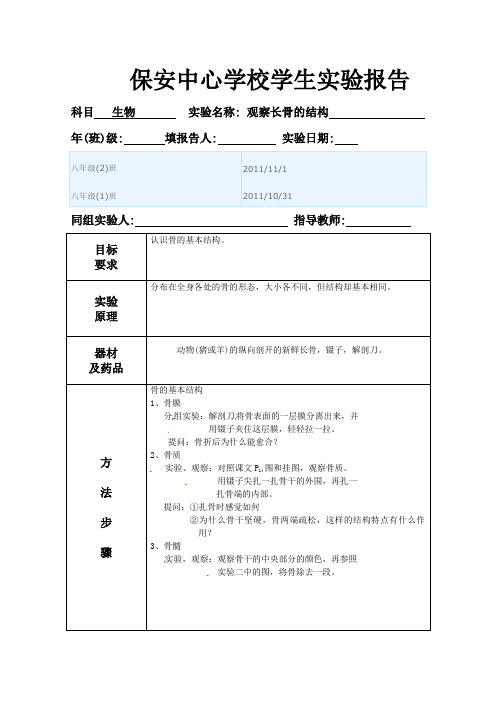 观察长骨的结构