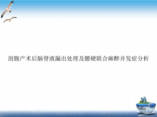 剖腹产术后脑脊液漏出处理及腰硬联合麻醉并发症分析PPT课件