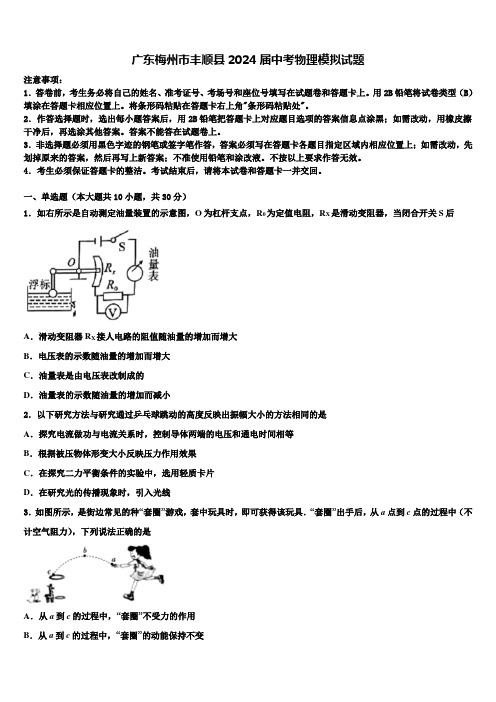 广东梅州市丰顺县2024届中考物理模拟试题含解析