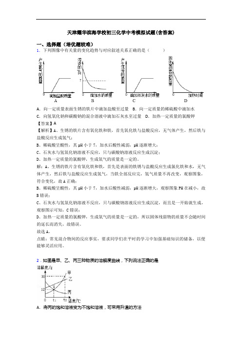 天津耀华滨海学校初三化学中考模拟试题(含答案)