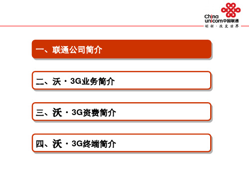 中国联通介绍及3G业务简介24页PPT