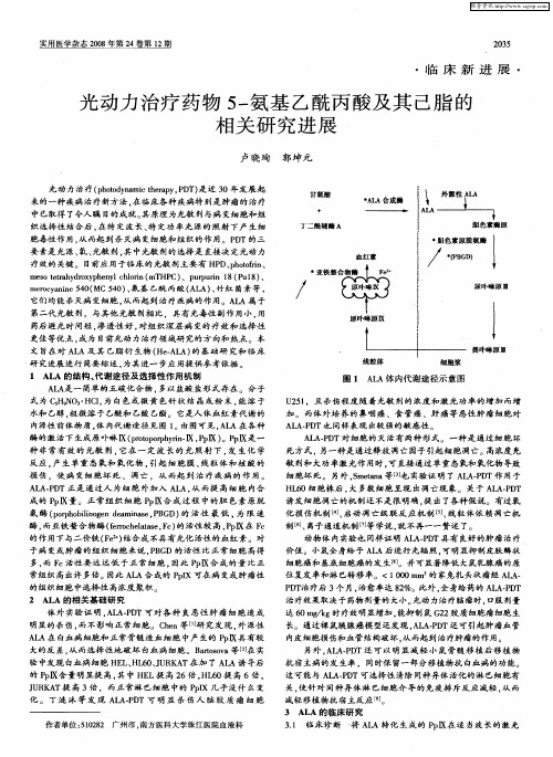 光动力治疗药物5-氨基乙酰丙酸及其己脂的相关研究进展