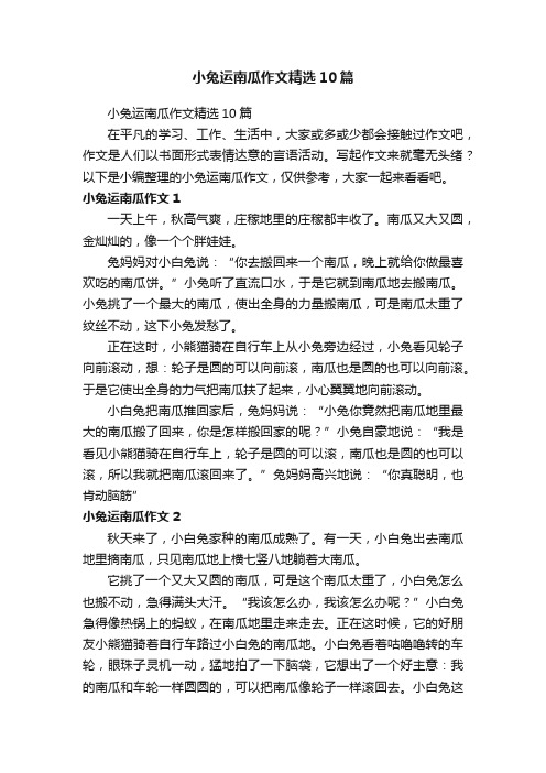 小兔运南瓜作文精选10篇