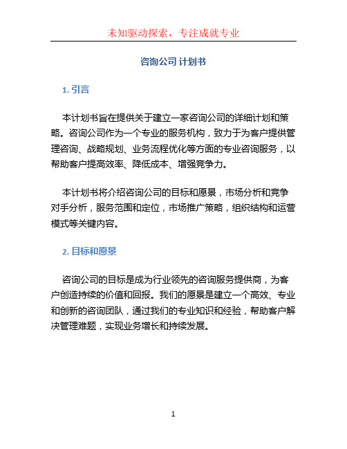 咨询公司 计划书