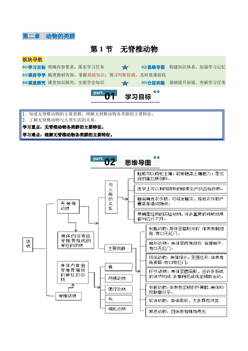 【2024版人教版生物七上同步练习】2.2.1 无脊椎动物(解析版)