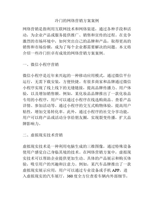 冷门的网络营销方案案例