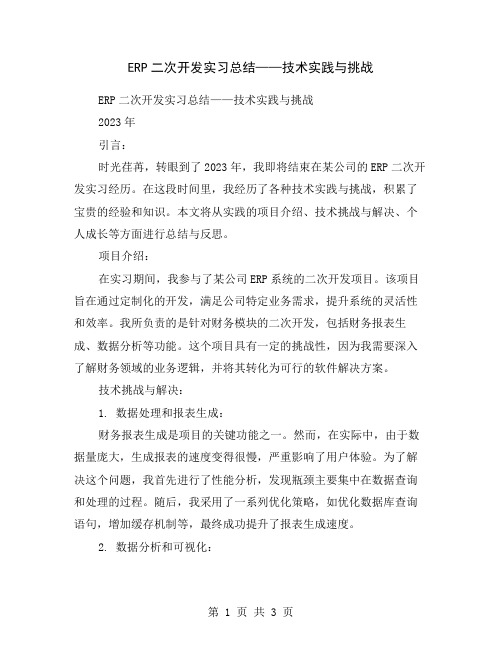 ERP二次开发实习总结——技术实践与挑战