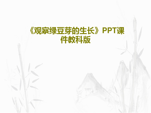 《观察绿豆芽的生长》PPT课件教科版PPT共24页