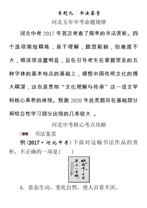 2020年 中考王  语文第一轮复习 重难点精炼试题 (31)