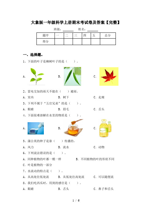 大象版一年级科学上册期末考试卷及答案【完整】