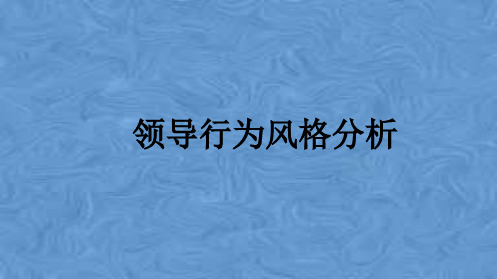 领导行为风格分析