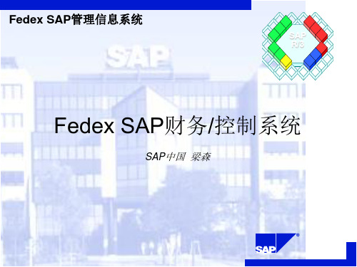 FedexSAP财务控制系统(ppt46)(1)