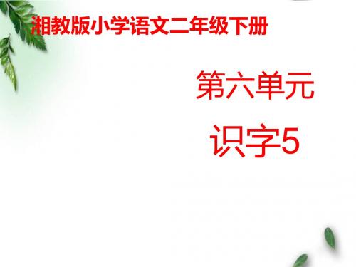 最新湘教版小学语文二年级下册《识字5》公开课课件2