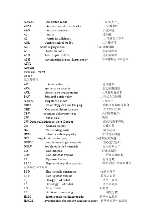 心脏中英文对照