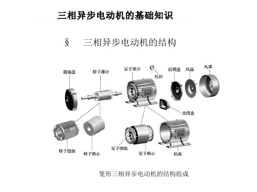 三相异步电动机的结构