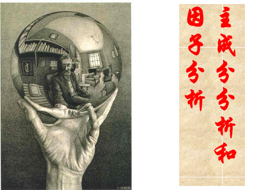 主成分分析与因子分析