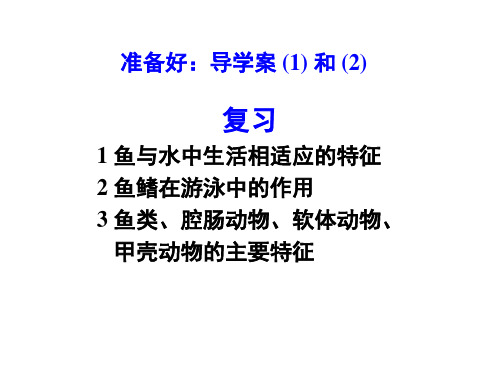 第一章第二节陆地生活的动物PPT课件