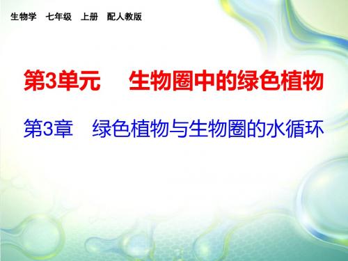 2019-2020学年人教版七年级生物上册教学课件：第三单元 第3章(共23张PPT)