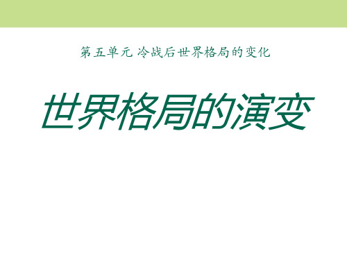 中华书局版九年级历史下册 (世界格局的演变)冷战后世界格局的变化新课件