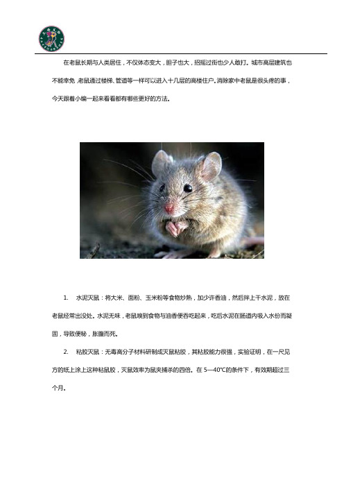 简单实用的灭鼠的措施有哪些