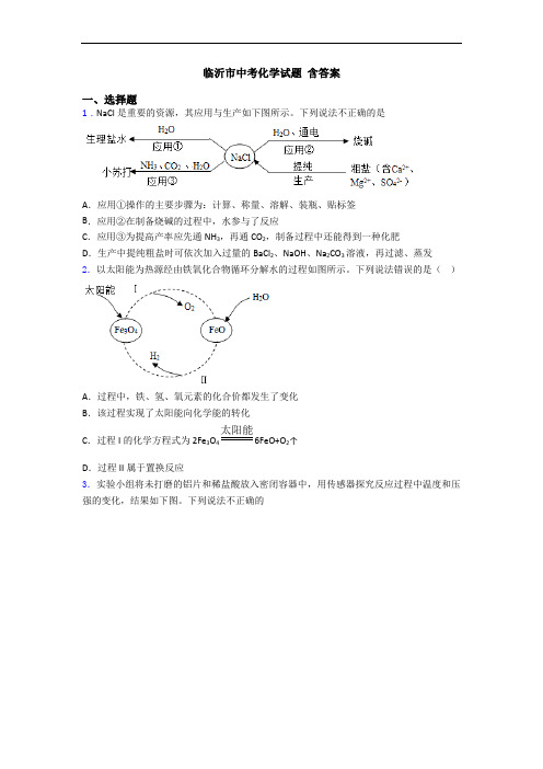 临沂市中考化学试题 含答案