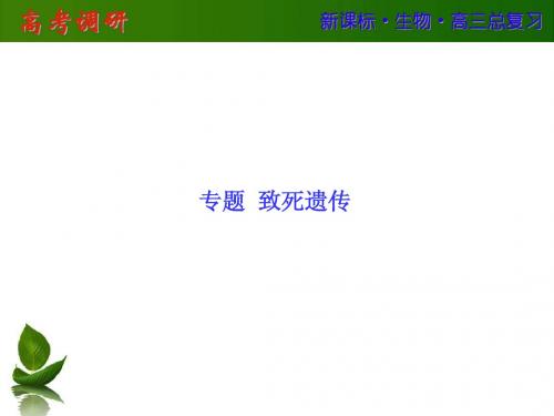 【高考调研】2016高考生物(新课标)大一轮复习配套课件：专题 致死遗传(共51张PPT)