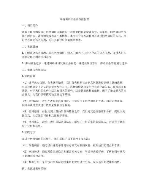 网络调研社会实践报告书