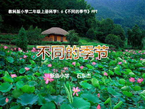 教科版二年级上册1.6《不同的季节》PPT