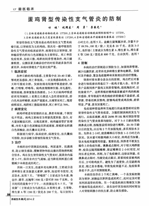 蛋鸡肾型传染性支气管炎的防制