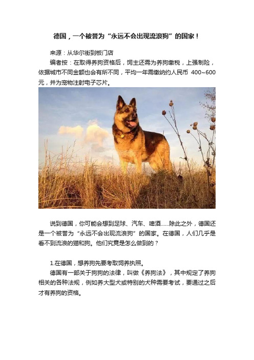 德国，一个被誉为“永远不会出现流浪狗”的国家！