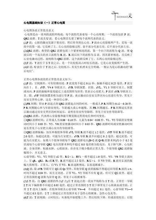 心电图基础理论知识