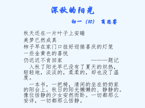 深秋的阳光