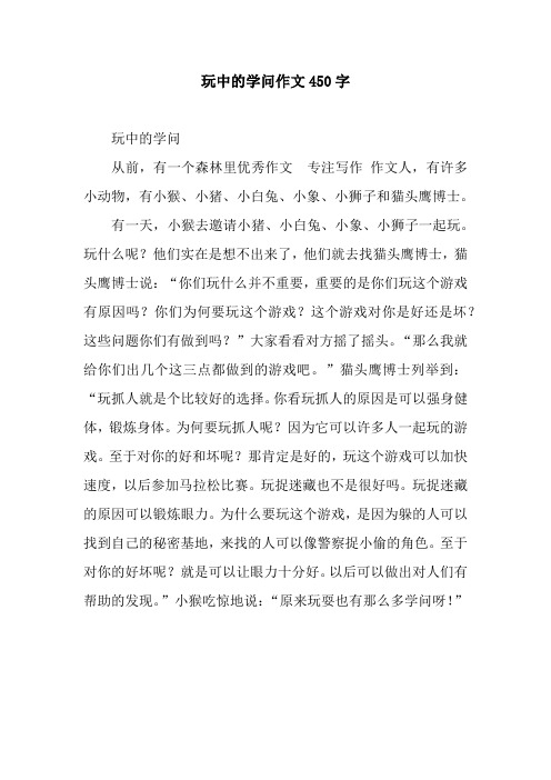 玩中的学问作文450字