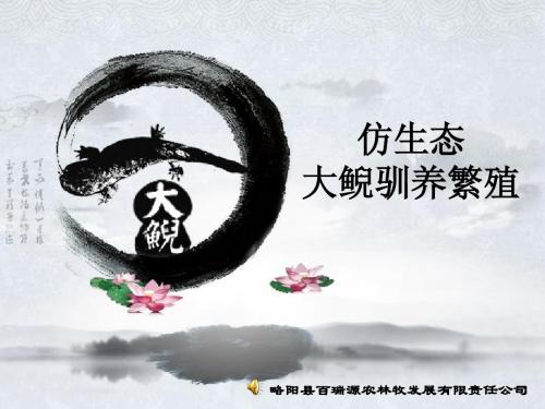 天赐宝物_养生娃娃鱼
