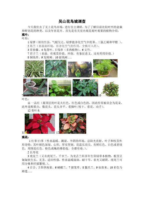 花卉市场调研报告