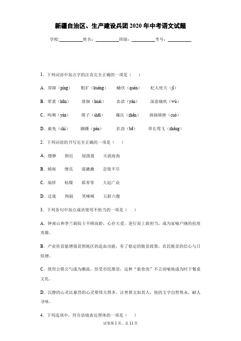 2020年新疆自治区、生产建设兵团中考语文试卷及答案解析.pdf