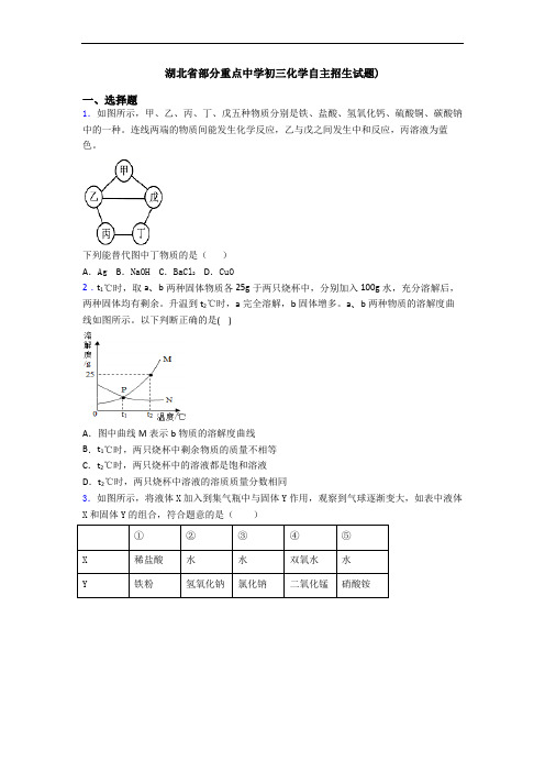 湖北省部分重点中学初三化学自主招生试题)