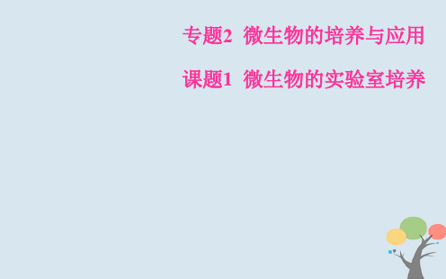 高中生物专题2微生物的培养与应用课题1微生物的实验室培养课件新人教版选修1